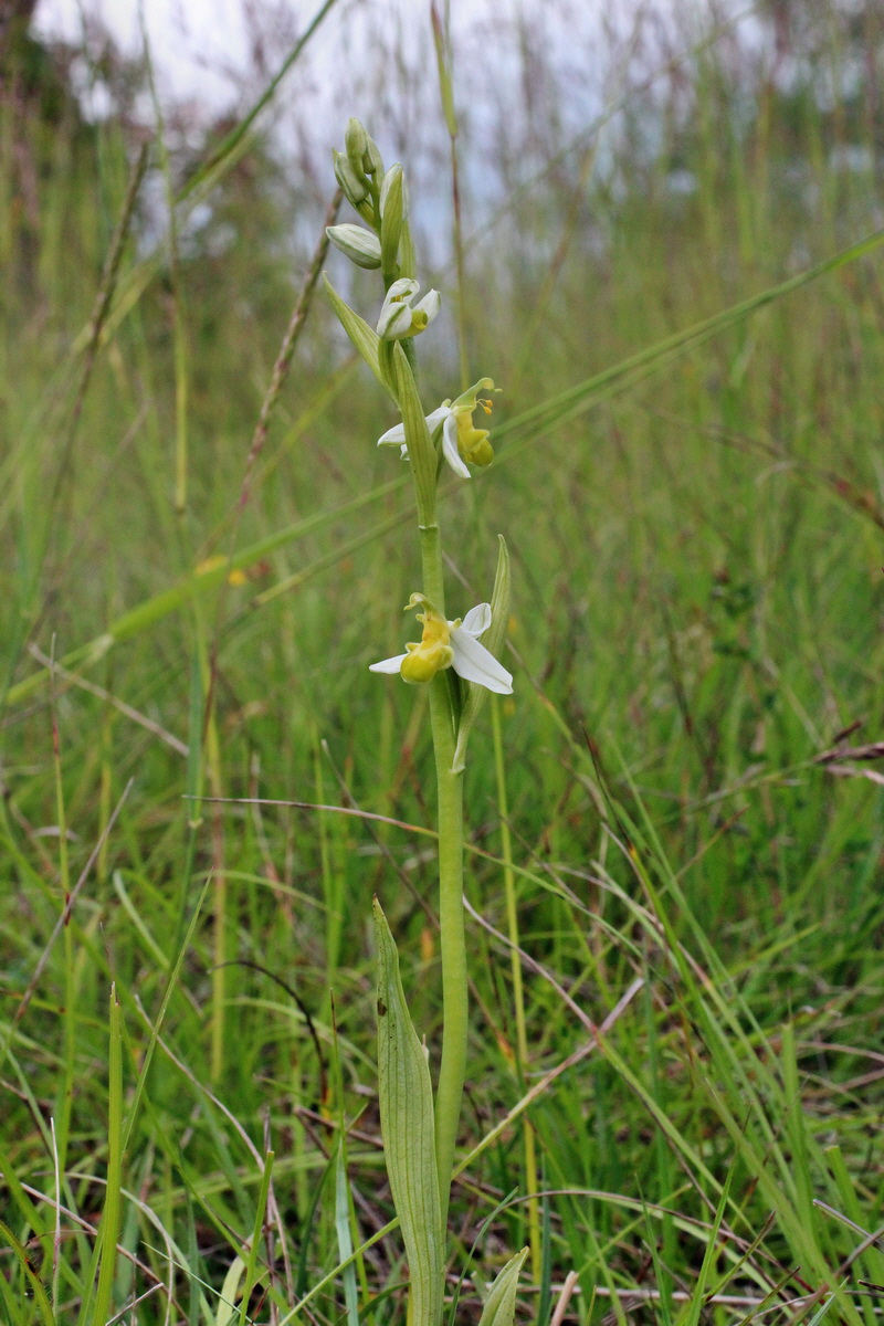 2014_06_02_00044878p_Bildgr��e �ndern