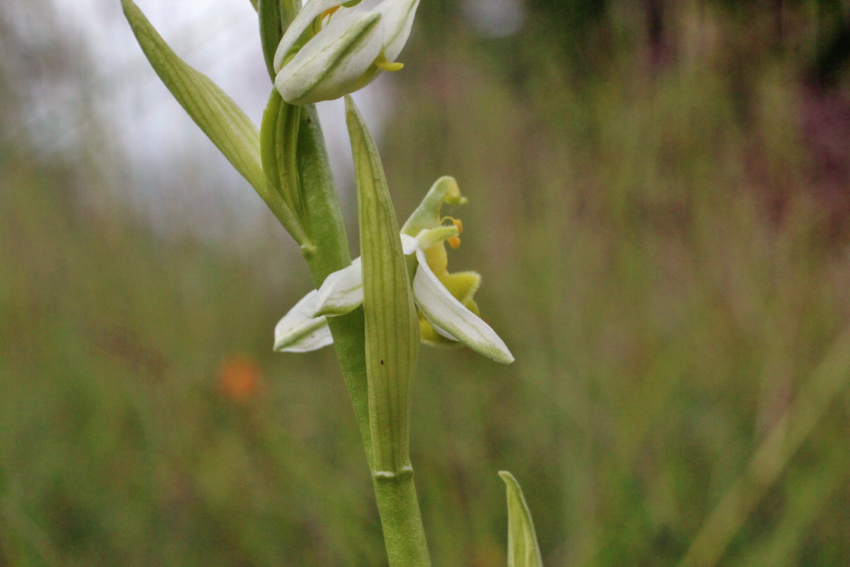 2014_06_02_00044881p_Bildgr��e �ndern