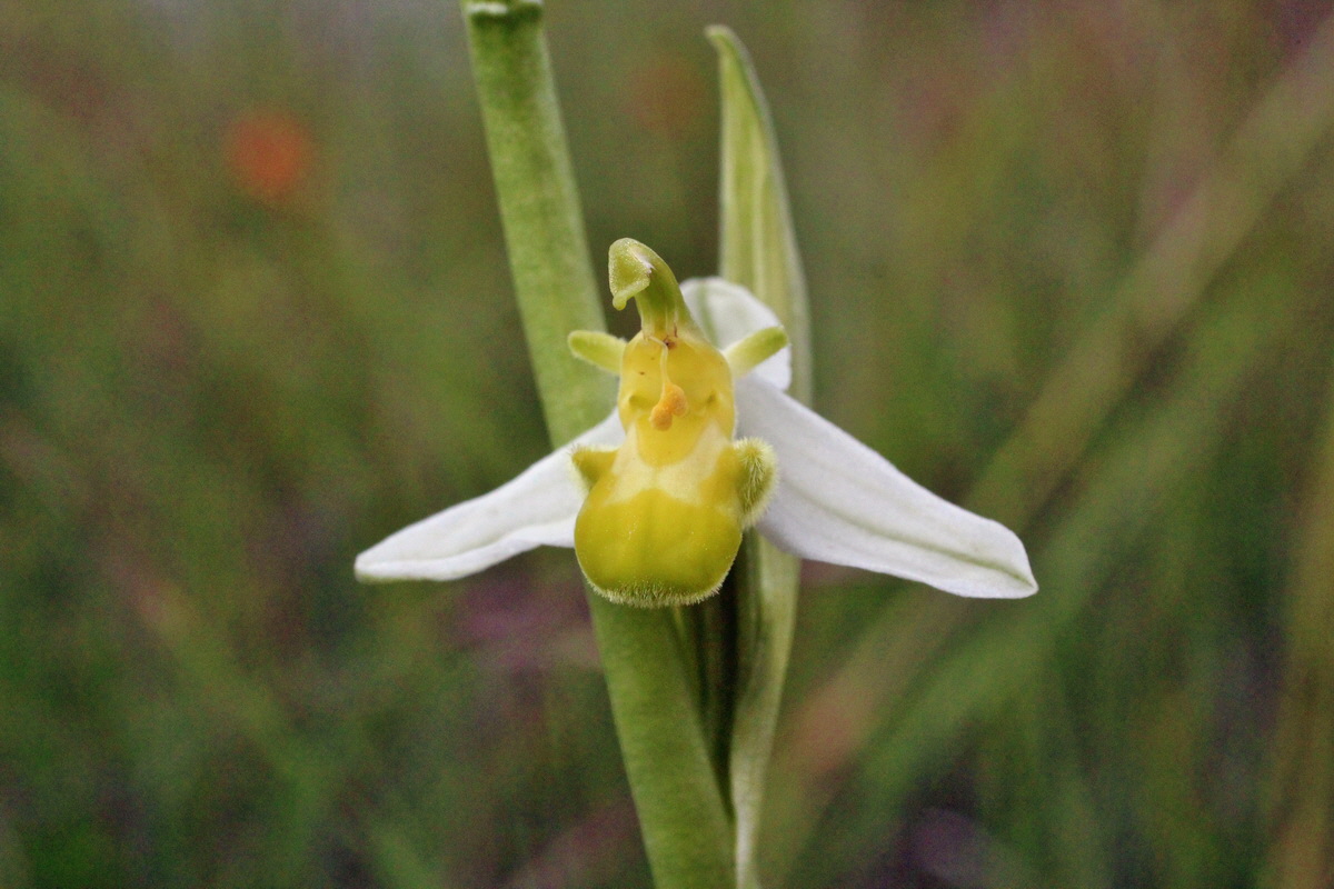 2014_06_02_00044882p_Bildgr��e �ndern