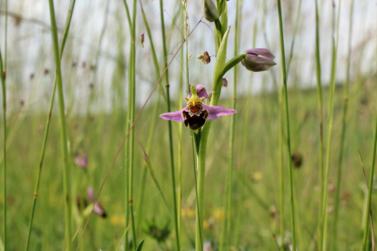 2014_06_02_00044886p_Bildgr��e �ndern