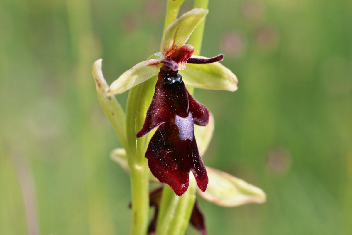 2014_06_02_00044895p_Bildgr��e �ndern