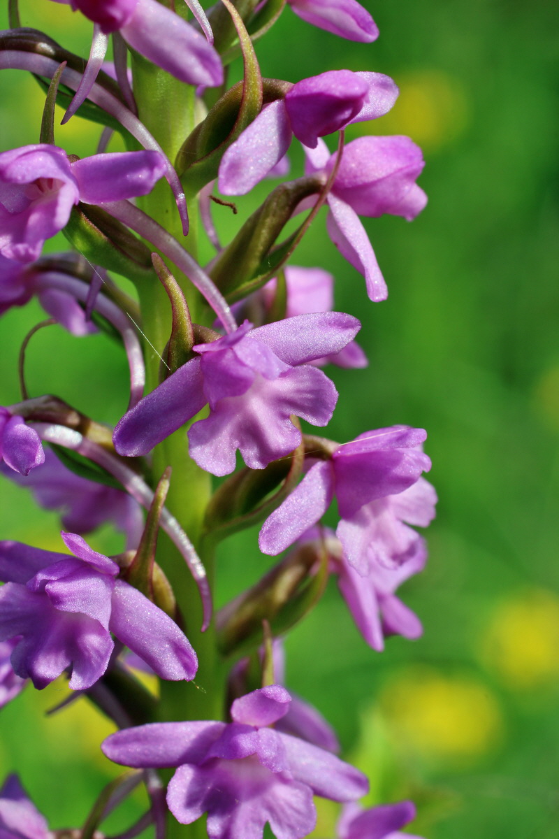 2014_06_02_00044908p_Bildgr��e �ndern