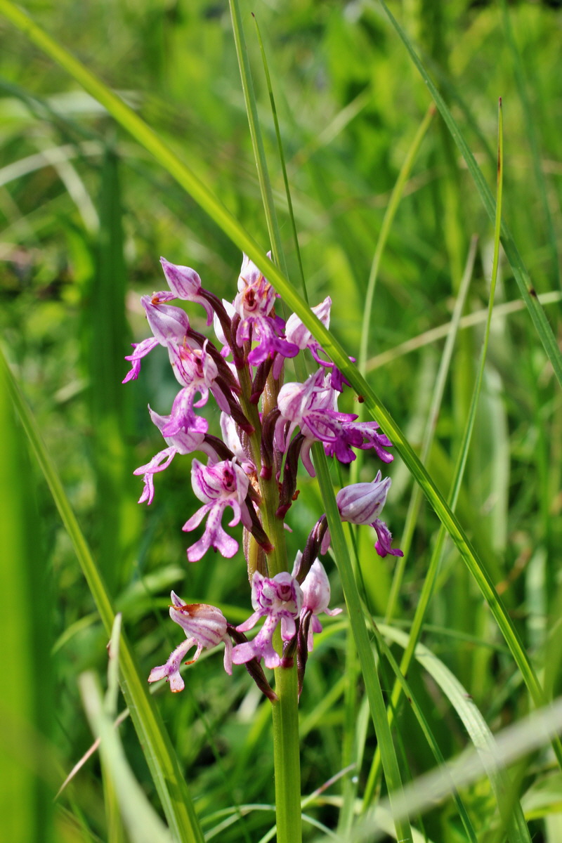 2014_06_02_00044911p_Bildgr��e �ndern