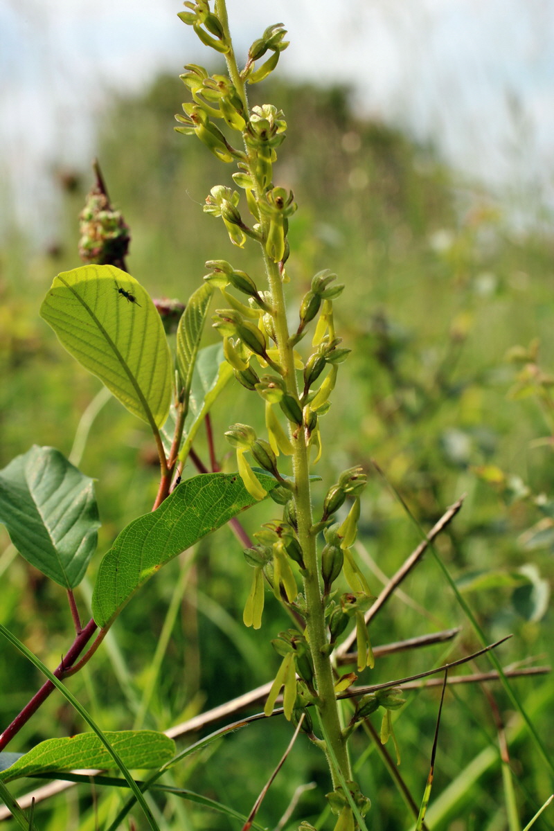 2014_06_02_00044915p_Bildgr��e �ndern