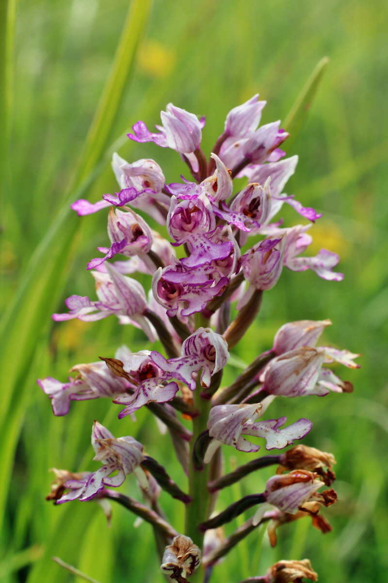 2014_06_02_00044920p_Bildgr��e �ndern