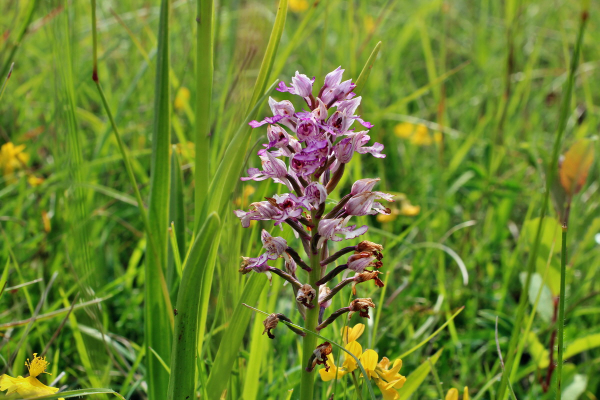 2014_06_02_00044923p_Bildgr��e �ndern