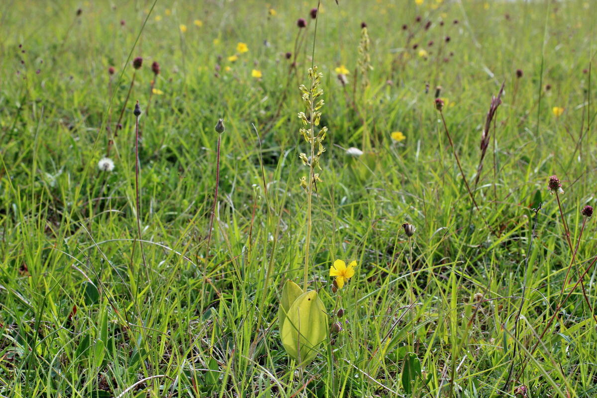 2014_06_02_00044928p_Bildgr��e �ndern