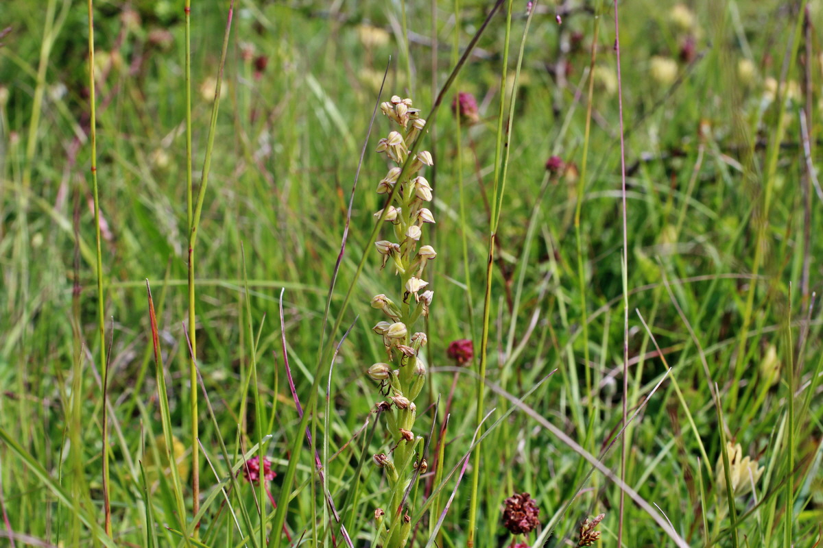 2014_06_02_00044934p_Bildgr��e �ndern