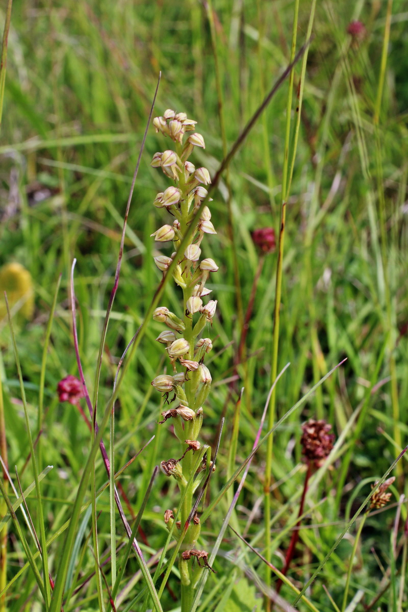 2014_06_02_00044936p_Bildgr��e �ndern