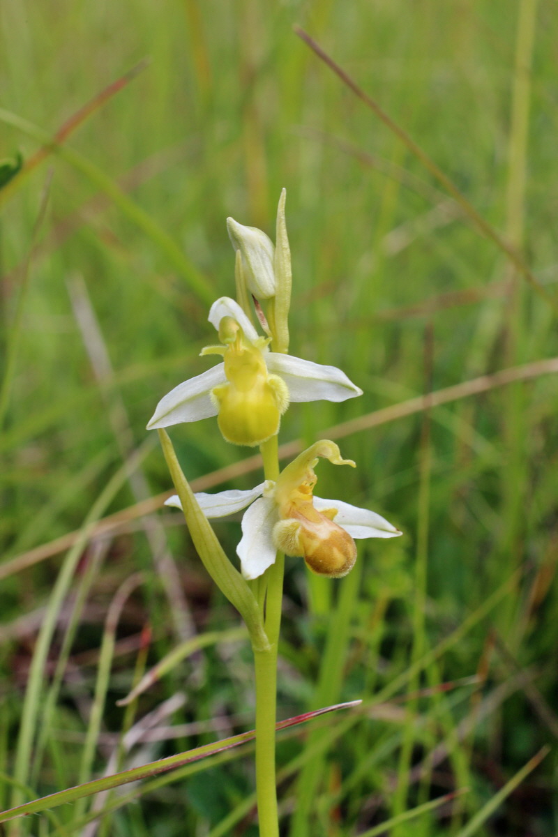 2014_06_02_00044941p_Bildgr��e �ndern