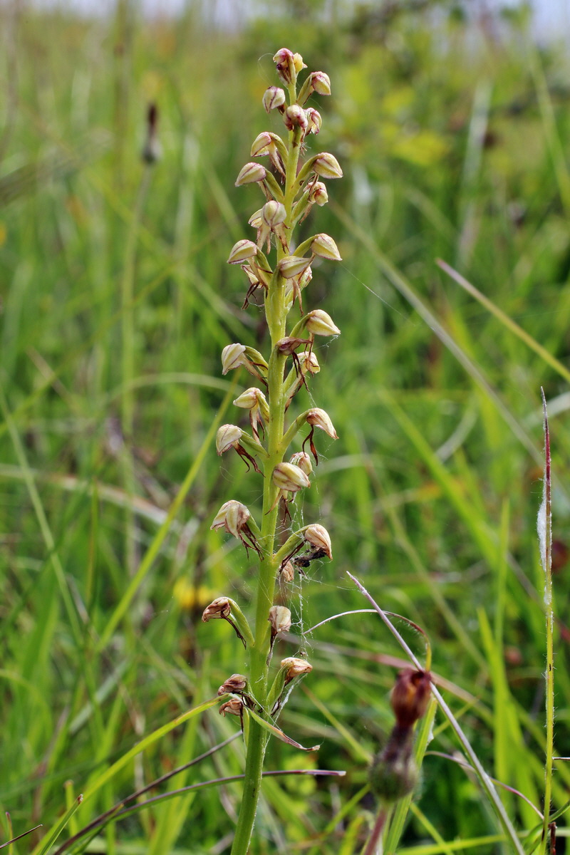 2014_06_02_00044944p_Bildgr��e �ndern