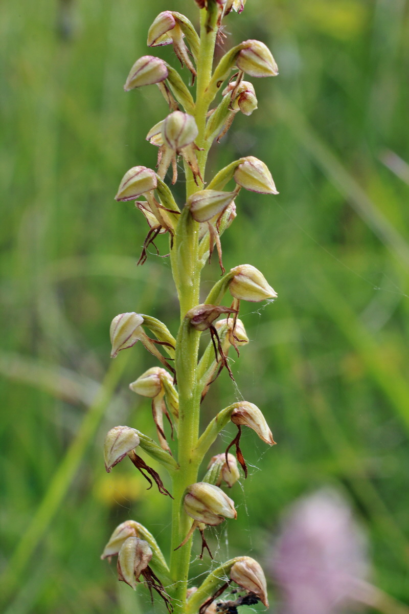 2014_06_02_00044947p_Bildgr��e �ndern