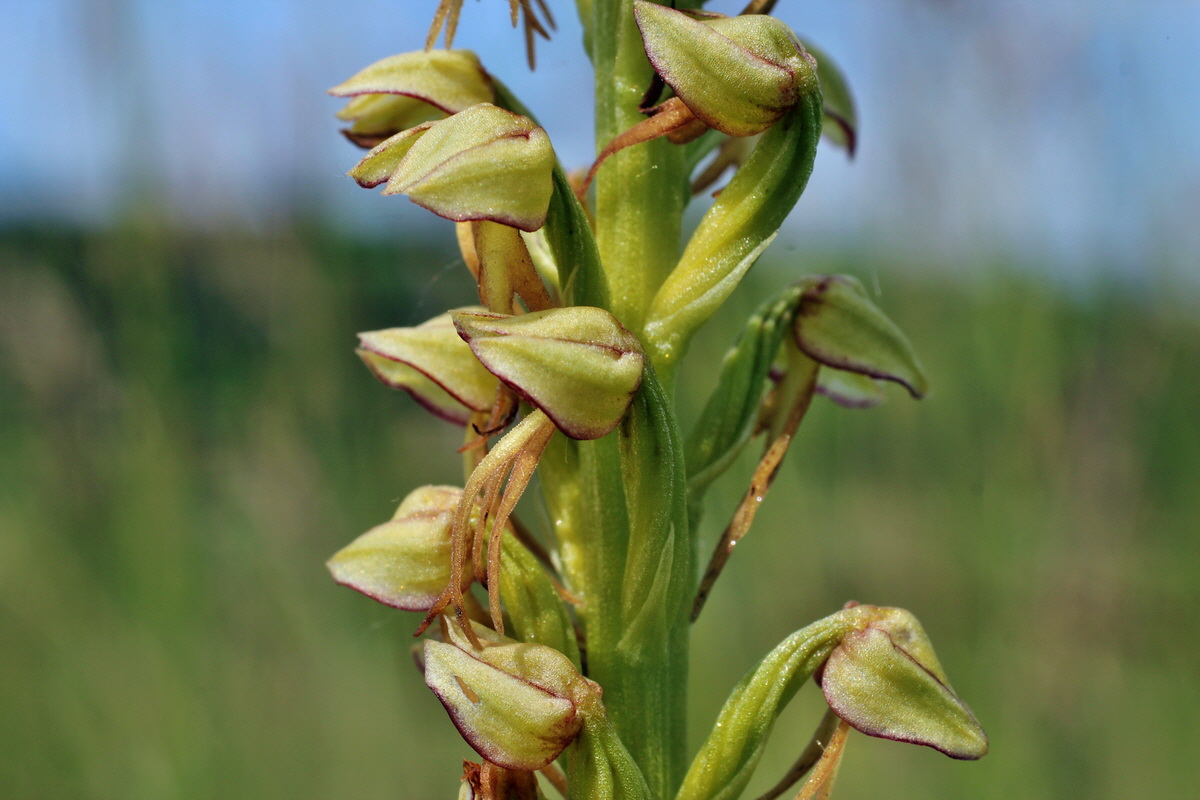 2014_06_02_00044959p_Bildgr��e �ndern