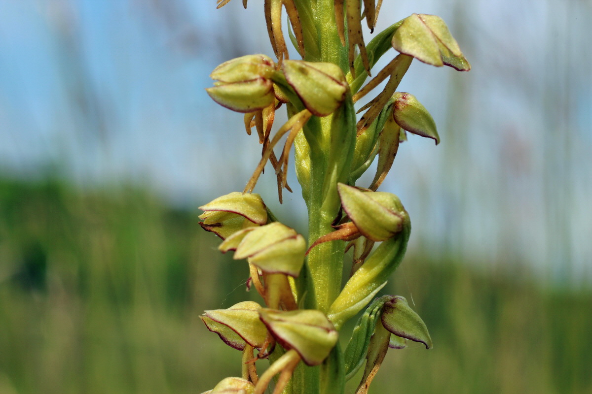 2014_06_02_00044963p_Bildgr��e �ndern