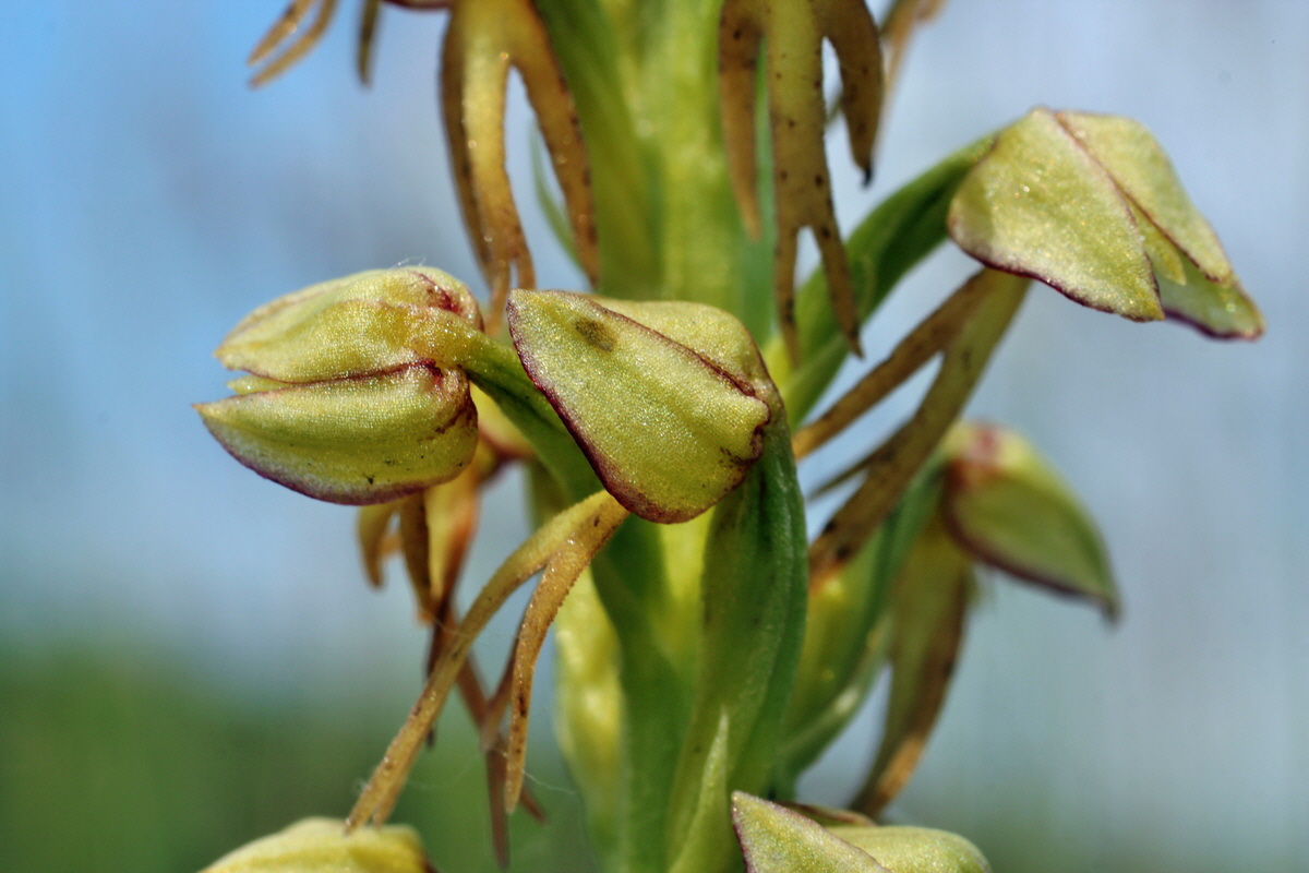 2014_06_02_00044965p_Bildgr��e �ndern