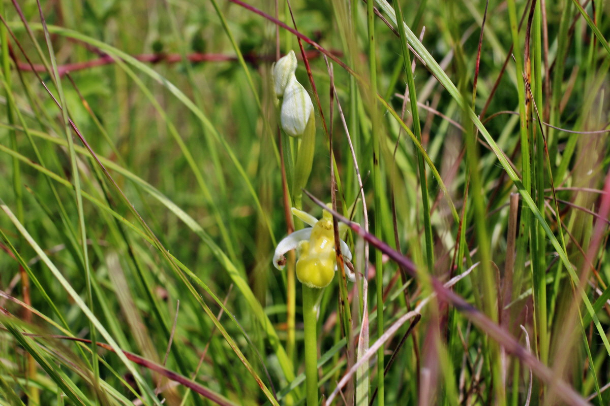 2014_06_02_00044969p_Bildgr��e �ndern