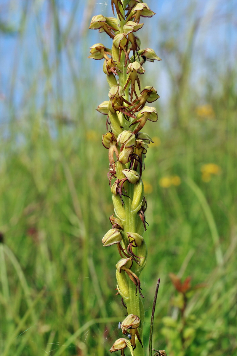 2014_06_02_00044983p_Bildgr��e �ndern