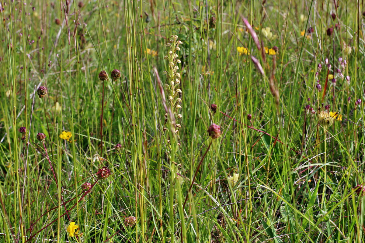 2014_06_02_00044990p_Bildgr��e �ndern