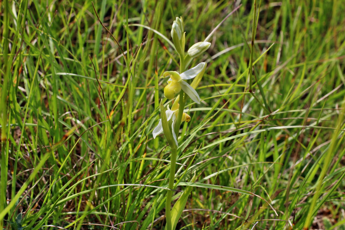 2014_06_02_00044995p_Bildgr��e �ndern