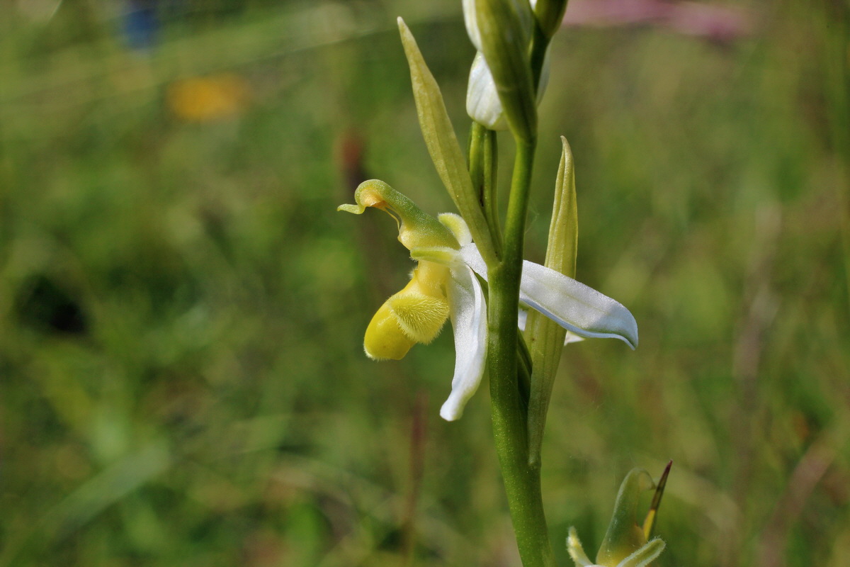 2014_06_02_00045005p_Bildgr��e �ndern