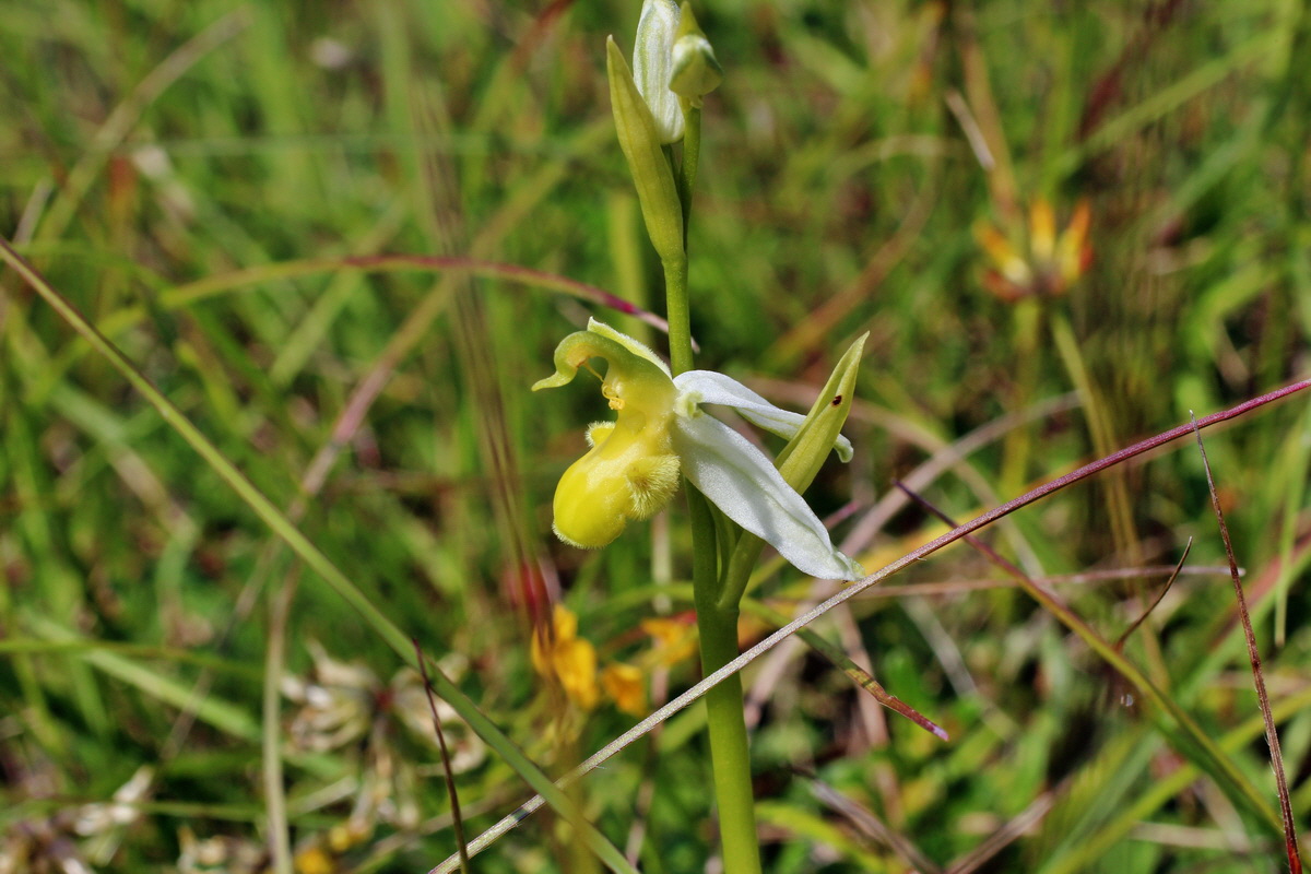 2014_06_02_00045011p_Bildgr��e �ndern