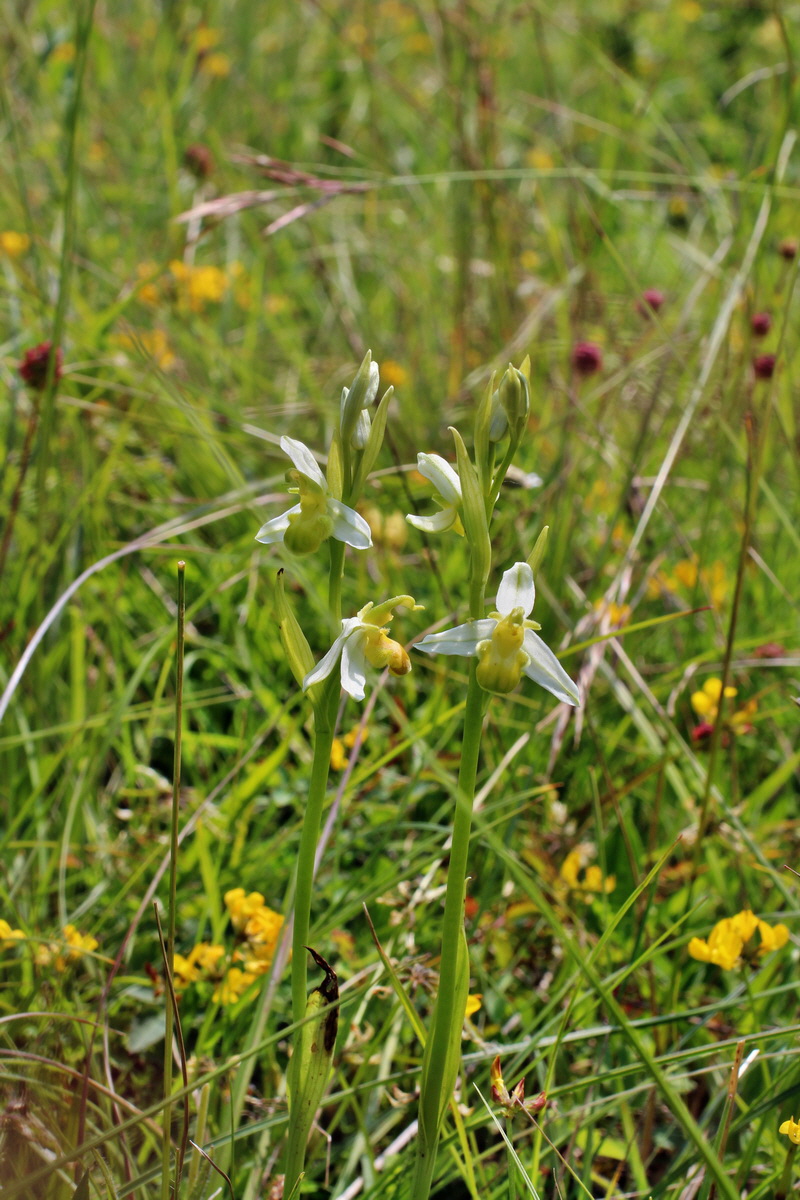 2014_06_02_00045014p_Bildgr��e �ndern