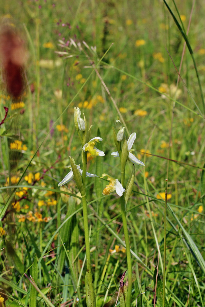 2014_06_02_00045017p_Bildgr��e �ndern