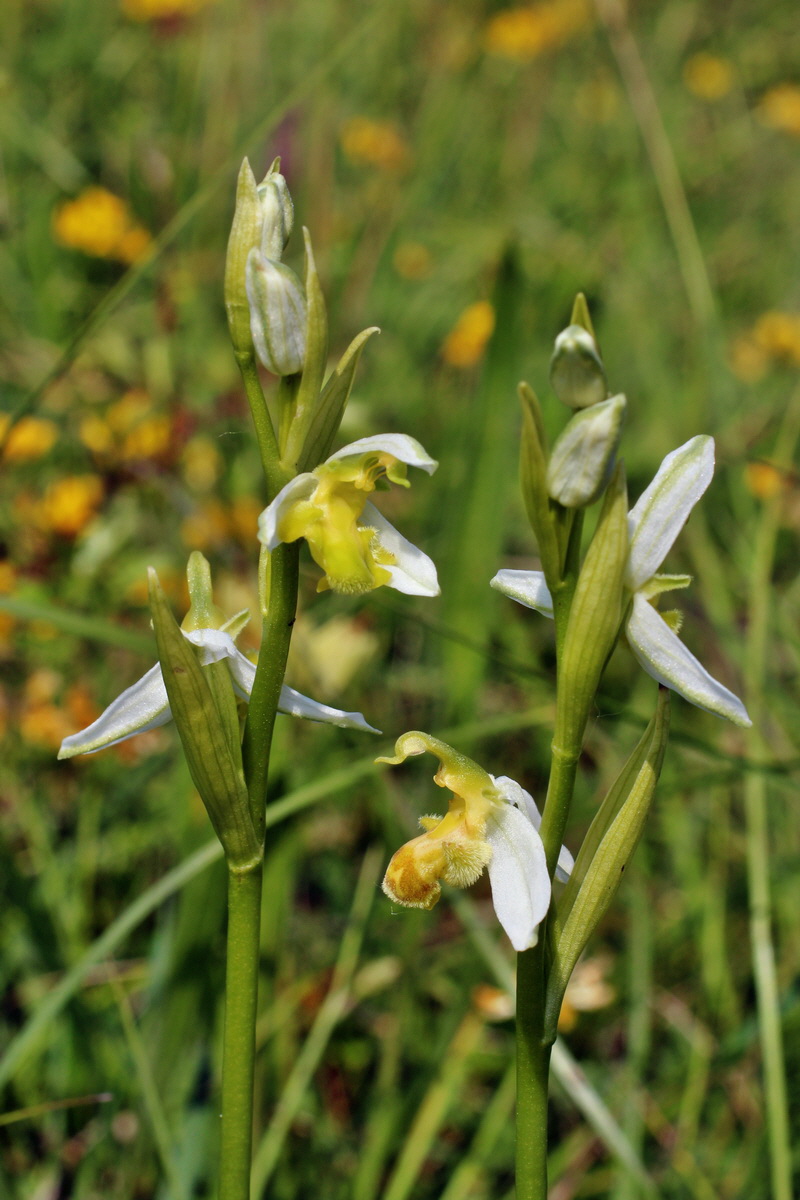 2014_06_02_00045021p_Bildgr��e �ndern