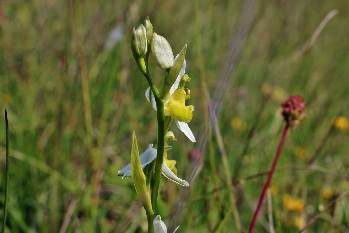 2014_06_02_00045027p_Bildgr��e �ndern