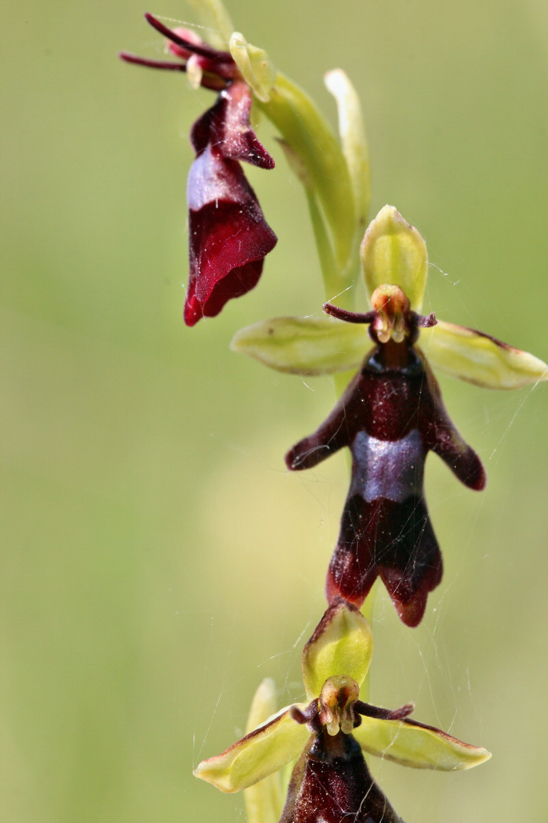 2014_06_02_00045047p_Bildgr��e �ndern