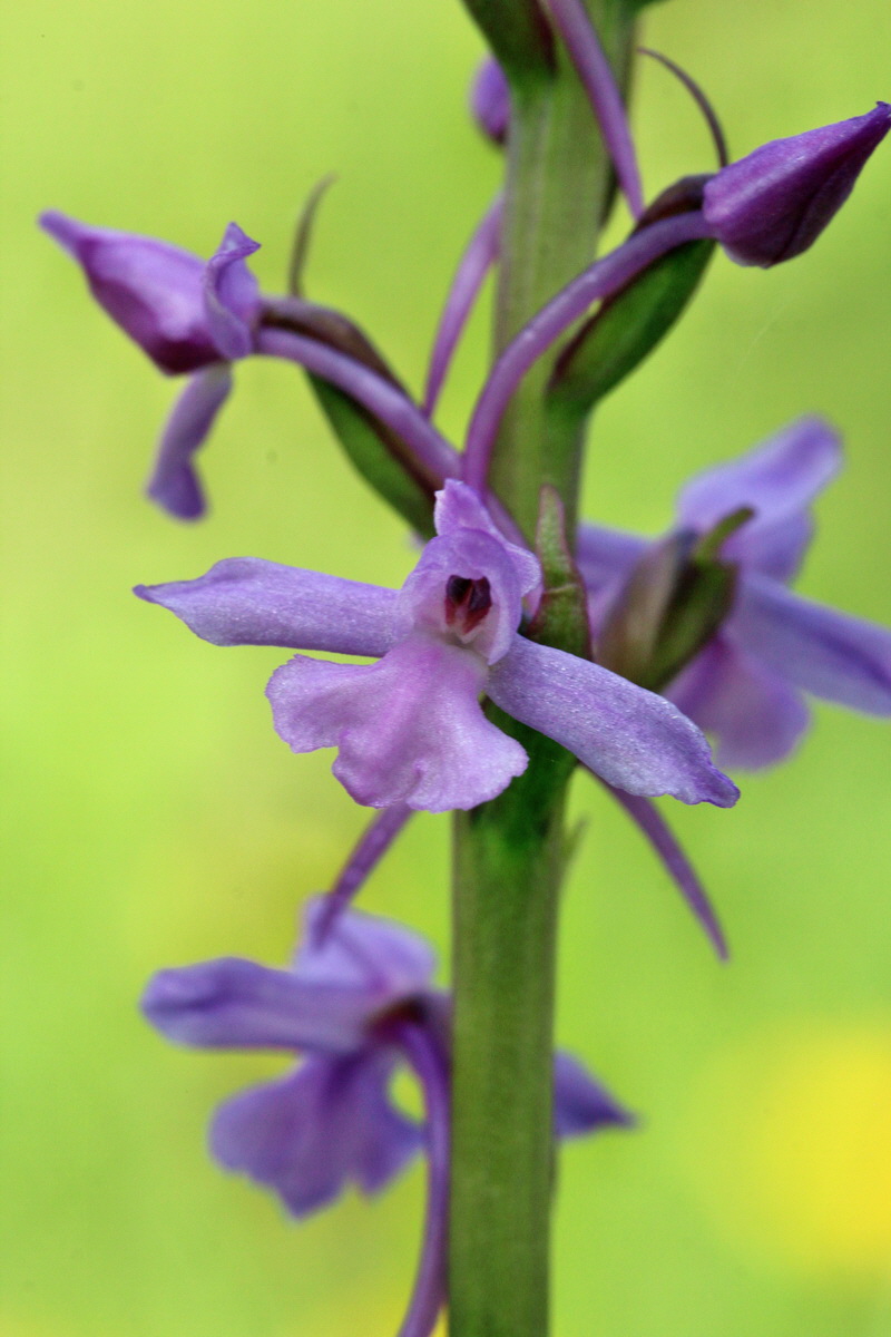 2014_06_02_00045056p_Bildgr��e �ndern