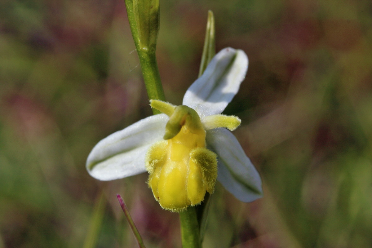 2014_06_02_00045062p_Bildgr��e �ndern