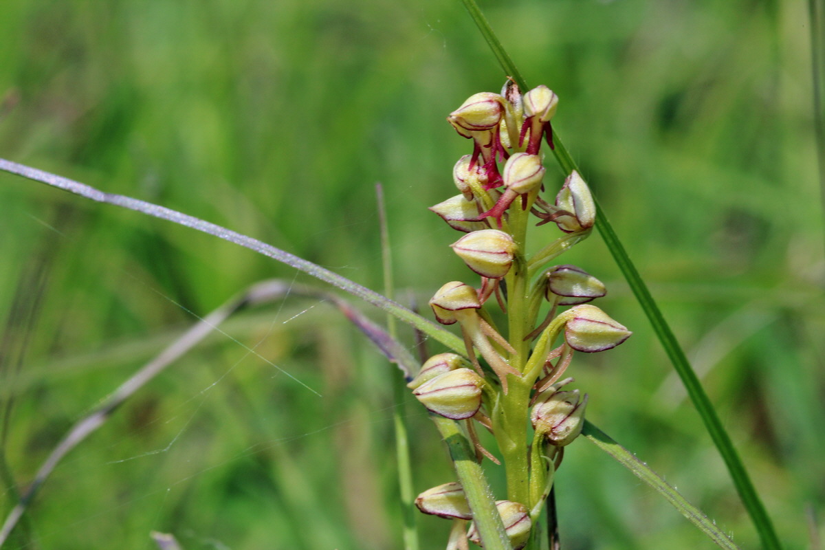 2014_06_02_00045069p_Bildgr��e �ndern