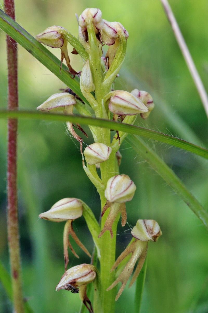 2014_06_02_00045074p_Bildgr��e �ndern