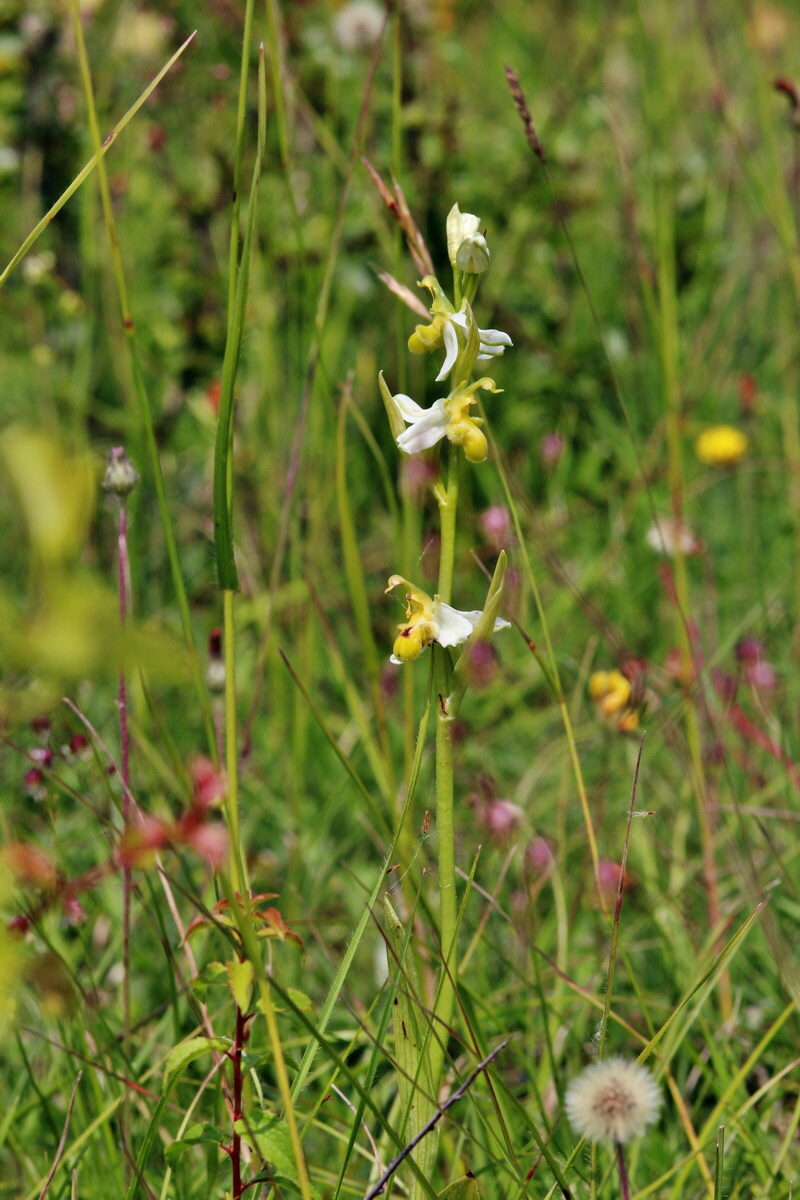 2014_06_02_00045076p_Bildgr��e �ndern