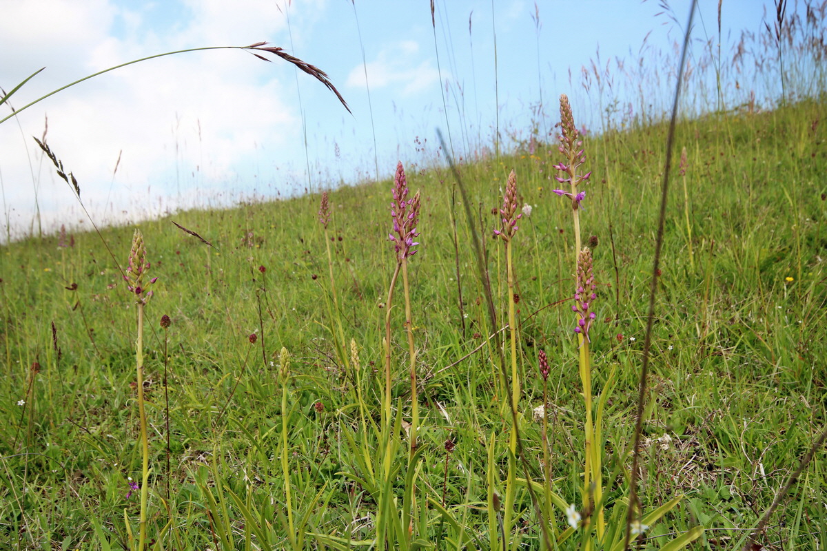 2014_06_02_00045080p_Bildgr��e �ndern