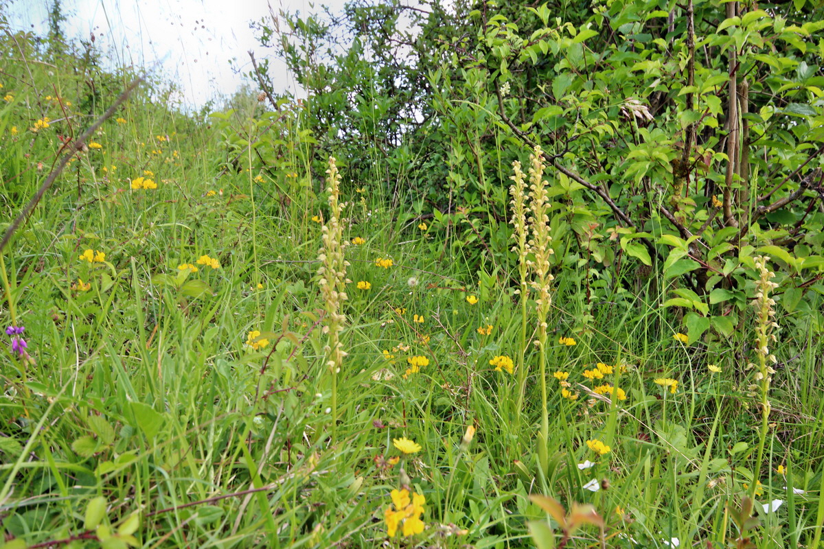 2014_06_02_00045084p_Bildgr��e �ndern