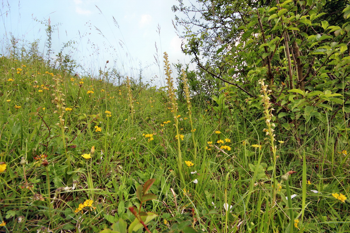 2014_06_02_00045089p_Bildgr��e �ndern