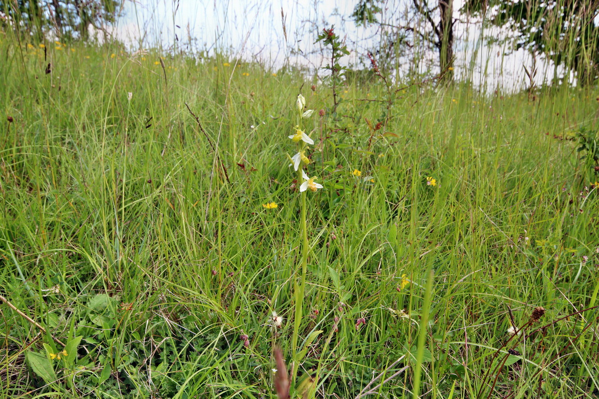 2014_06_02_00045094p_Bildgr��e �ndern