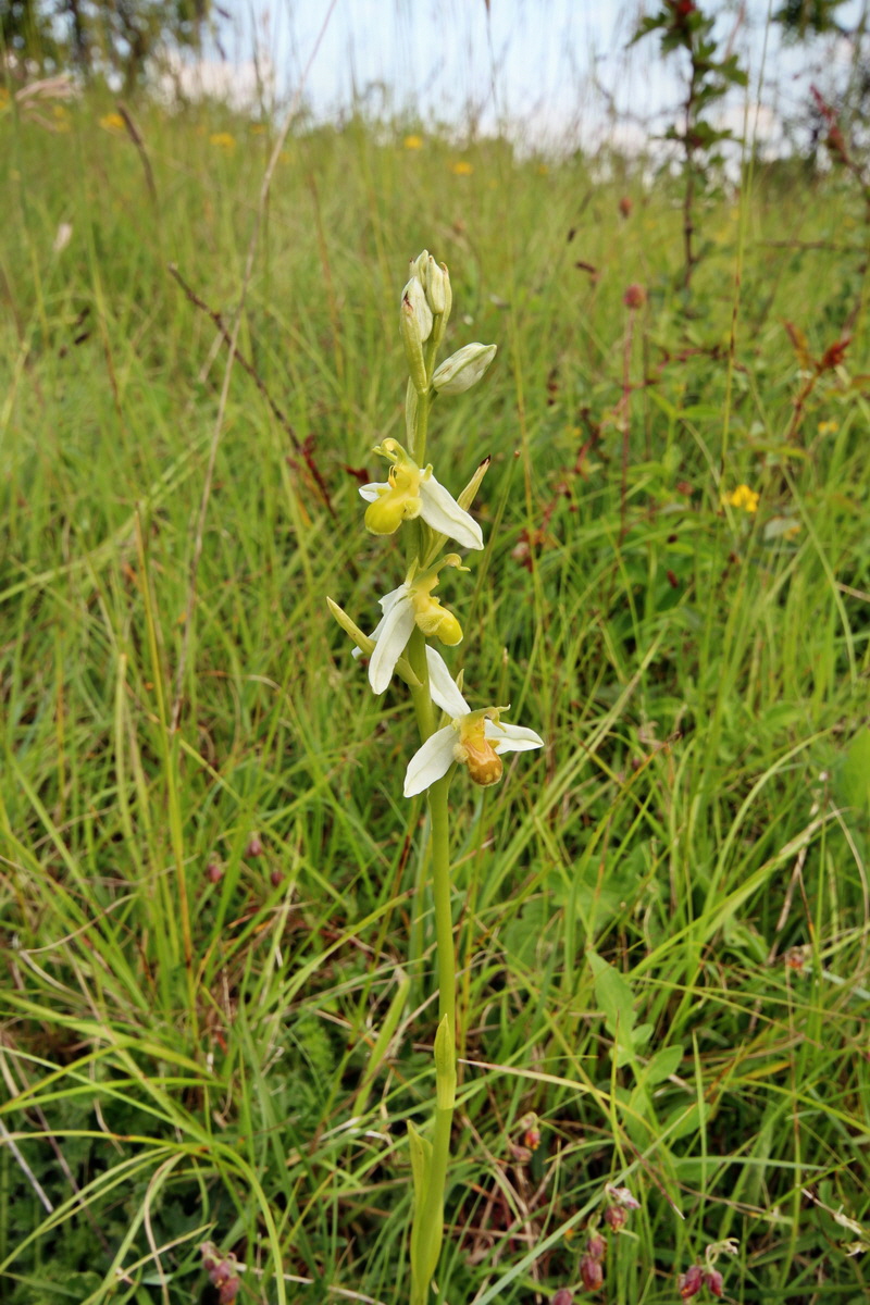 2014_06_02_00045097p_Bildgr��e �ndern