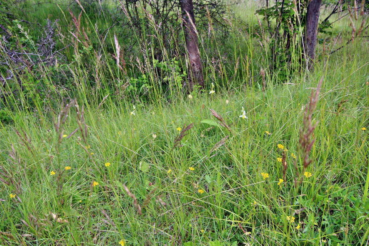 2014_06_02_00045101p_Bildgr��e �ndern