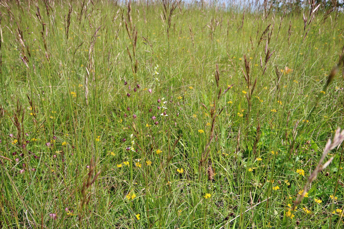 2014_06_02_00045126p_Bildgr��e �ndern