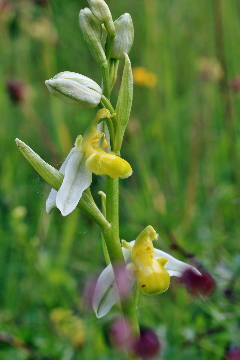 2014_06_02_00045133p_Bildgr��e �ndern