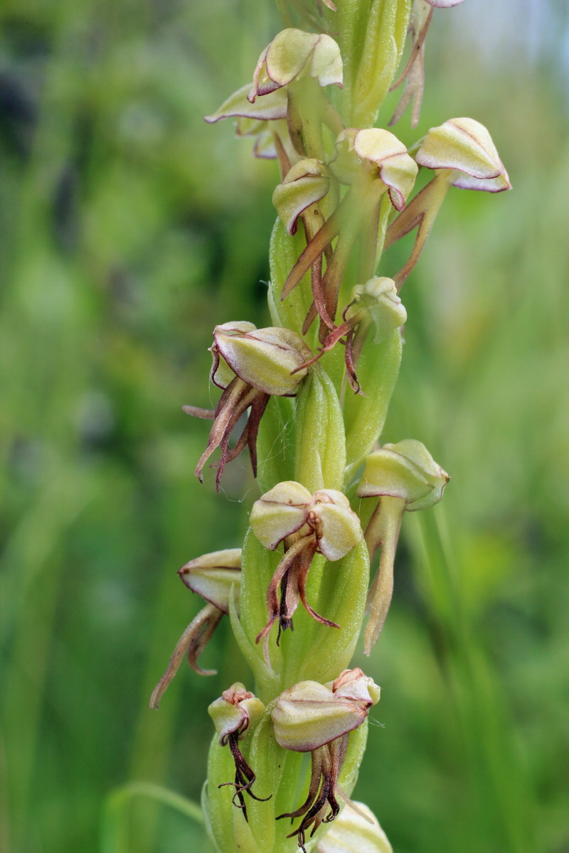 2014_06_02_00045140p_Bildgr��e �ndern