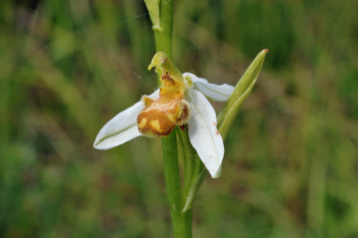 2014_06_02_00045144p_Bildgr��e �ndern