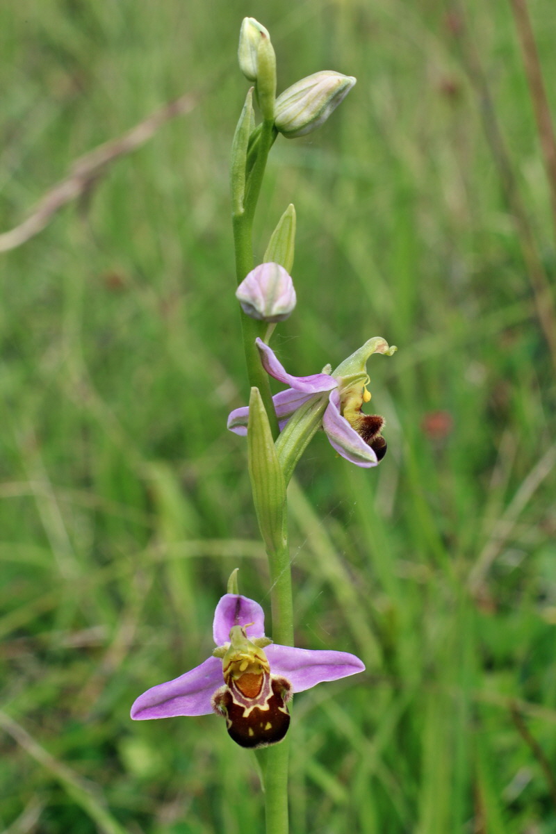 2014_06_02_00045170p_Bildgr��e �ndern