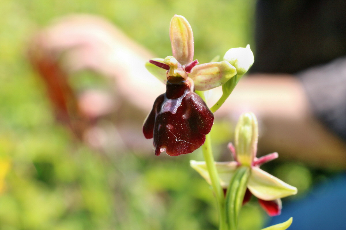 2014_06_02_00045232p_Bildgr��e �ndern