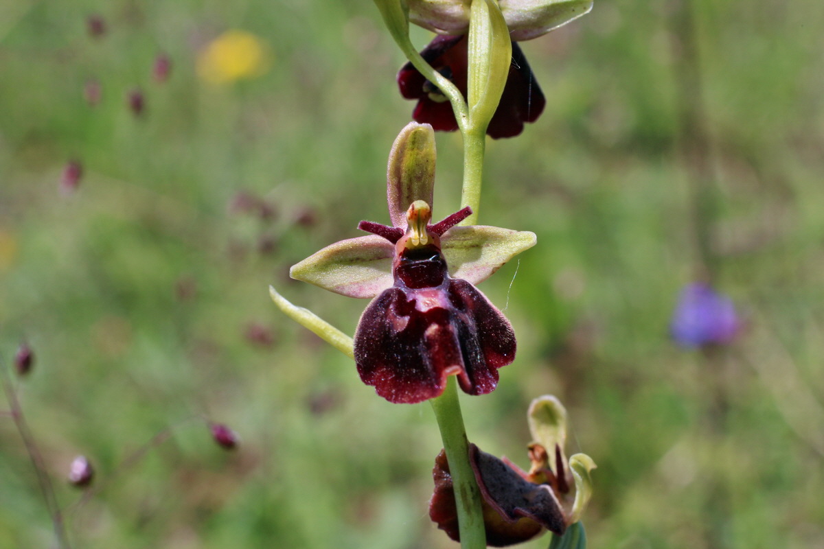 2014_06_02_00045235p_Bildgr��e �ndern