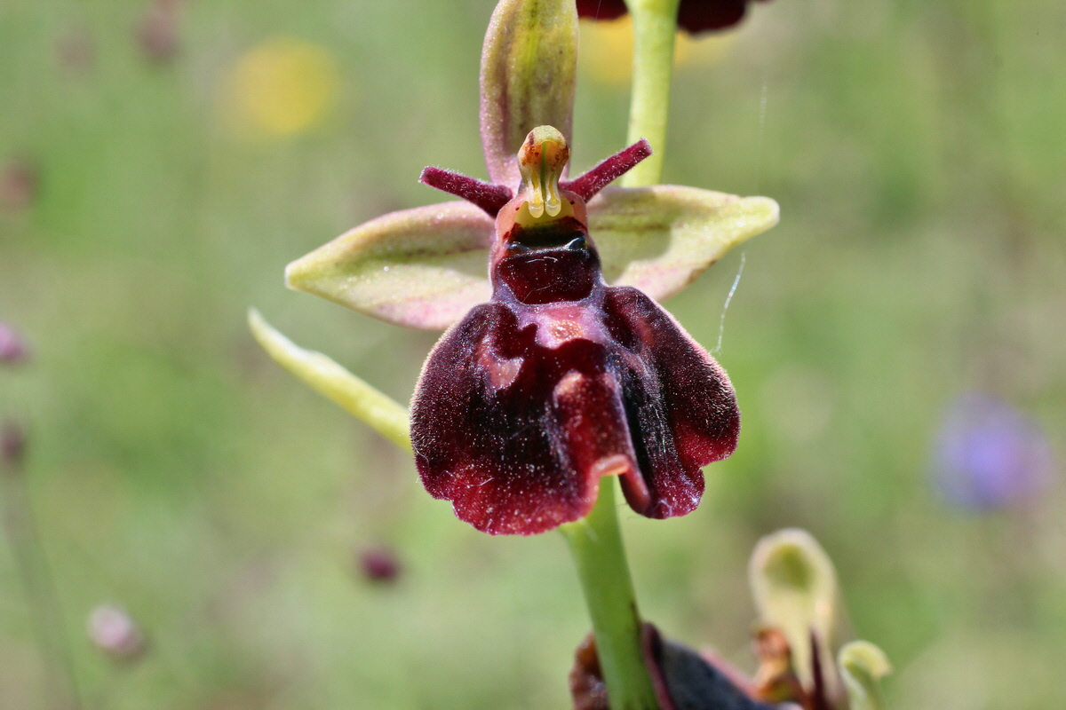 2014_06_02_00045242p_Bildgr��e �ndern