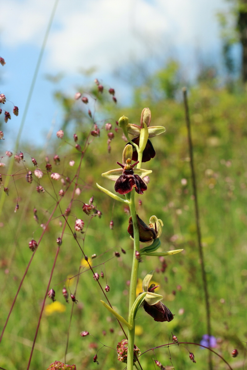 2014_06_02_00045246p_Bildgr��e �ndern